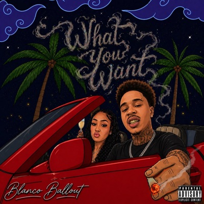 What You Want - Single