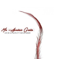 Me Apodan Gallo (feat. Yair Alvarado) - Single - Grupo Los de la Palma
