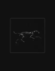 收听 Lavoe、观看音乐视频、阅读小传、查看巡演日期等 ！