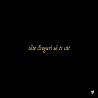 Câte Droguri Să Te Uit (Acoustic Version) - Single - Pragma