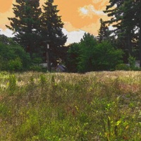 Rose Petals - Single - second