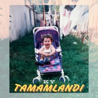 Tamamlandi - Single - Kaniyazar
