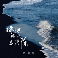 缘深缘浅怎消除 - Single - 夏如风