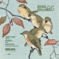 Bekool Brilliants 06 - Single - Marchesan, Ander Hogin & DeAbrew