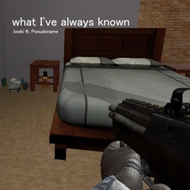 what I've always known (feat. Pseudoname) lowki