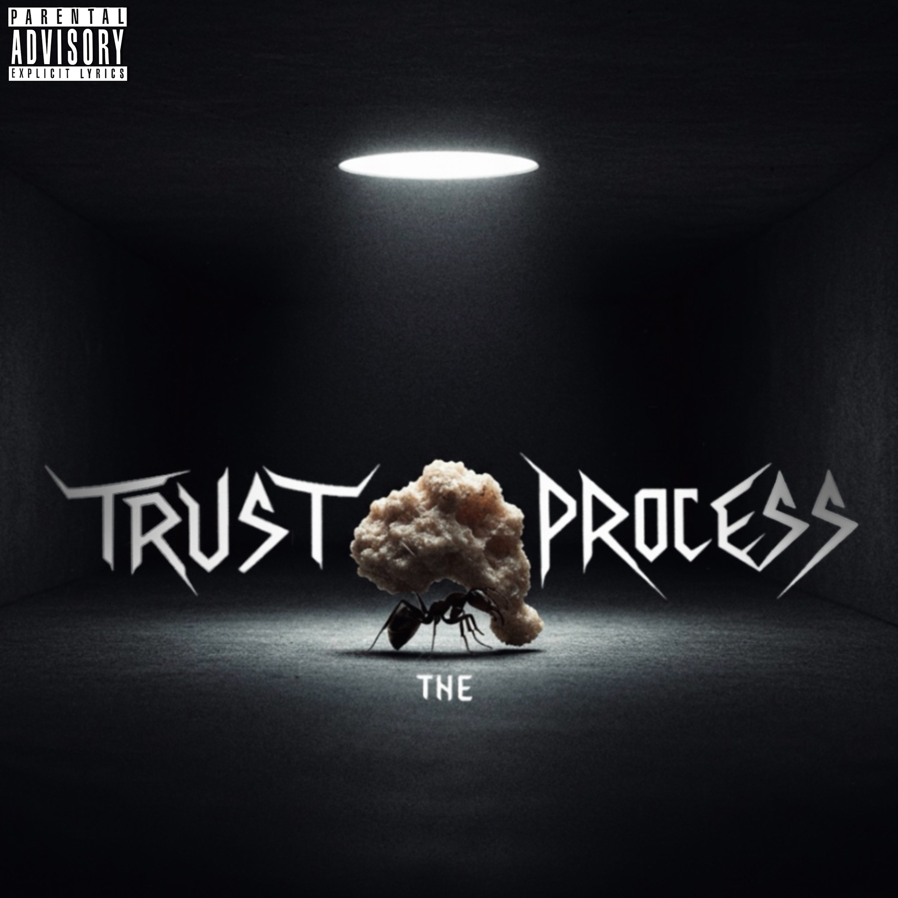 Trust the Process - Single