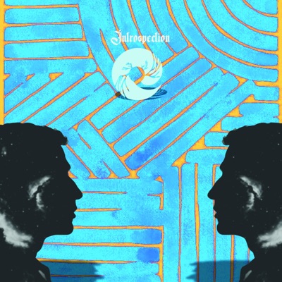 Introspection - Single