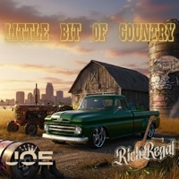 Little Bit Of Country (feat. RICH REGAL) - Single - Joe Kxng