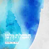 דוד בן ארזה - תכלת ולבן
