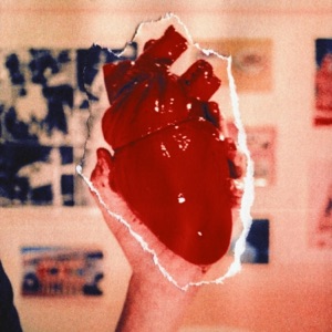 I Want Your Love - Single