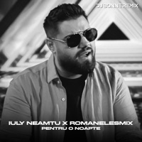 Pentru o noapte (Dj Bonne Remix) - Single - Iuly Neamtu & RoMANELEsMIX