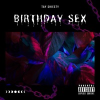 Birthday Sex - Single - Tay Shiesty