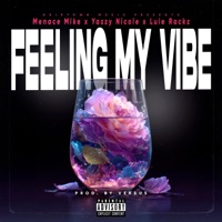 Feelin My Vibe (feat. Yazzy Nicole & Luie Rackz) - Single - Menace Mike