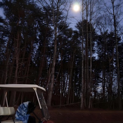 autobiography (feat. Ectogasm & bxkandy) - Single