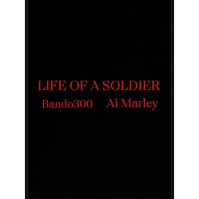 LIFE of a SOLDIER (feat. Ai Marley) - Single