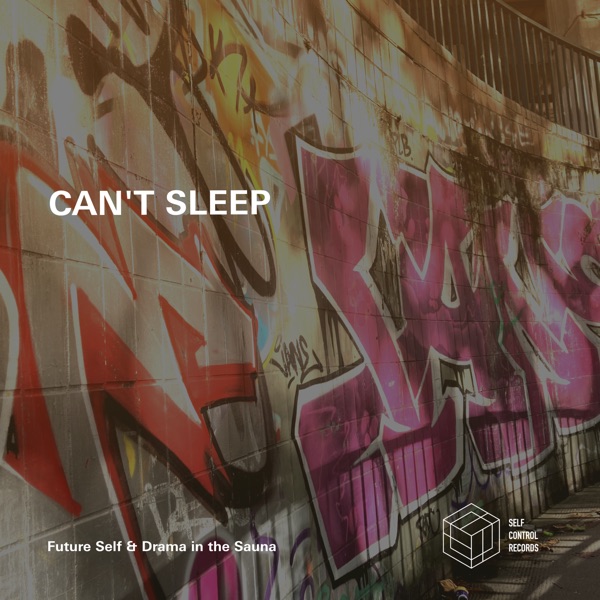 Can't Sleep - Single