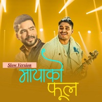 Mayako Phool - Single - Kshitiz Sapkota