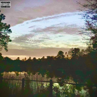 Flying South (feat. ABA Wirdo) - Single