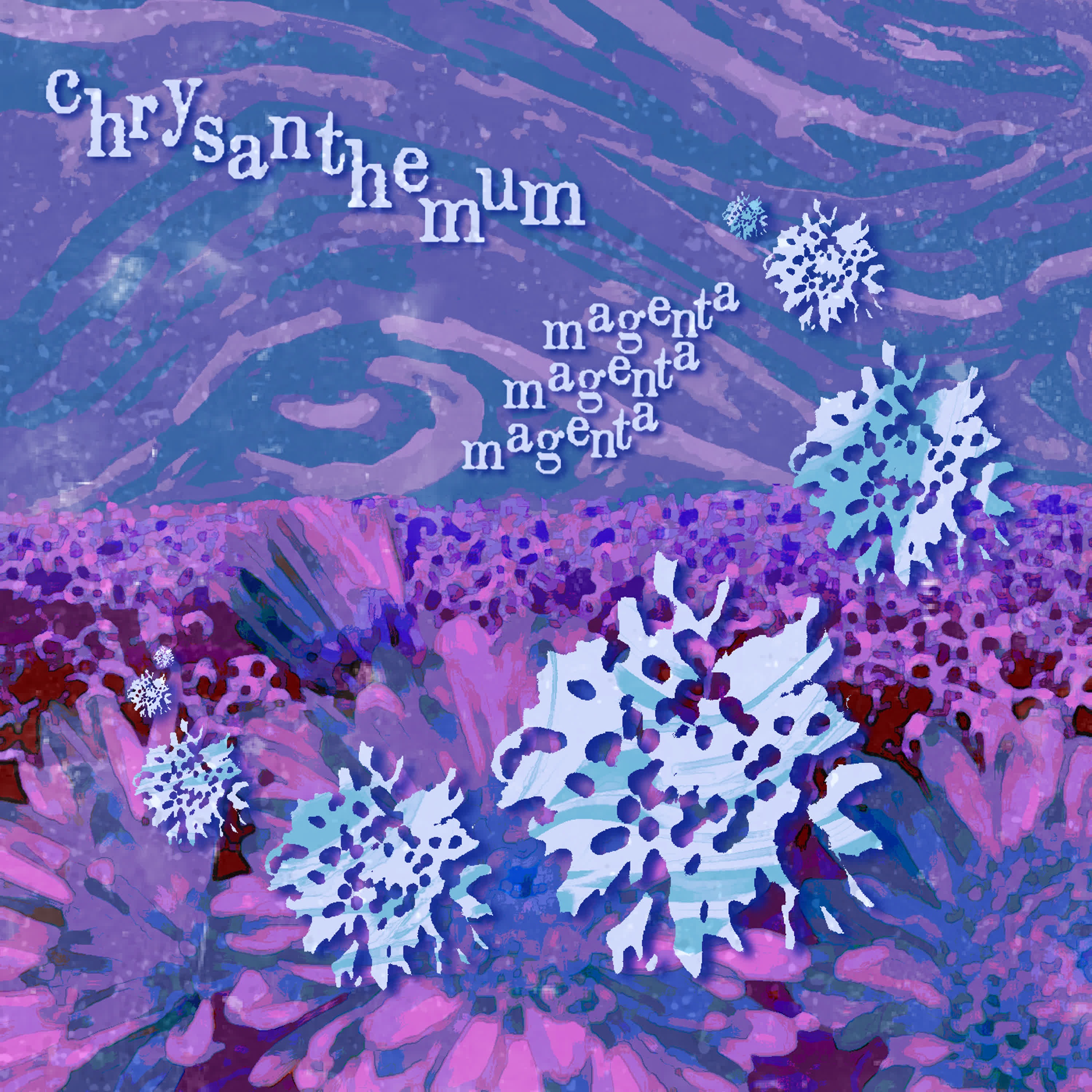 Chrysanthemum - Single