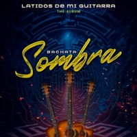 La Conocí (feat. el poche) - Single - sombra