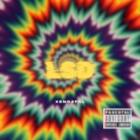 LSD - Single - BigQ & Xeno