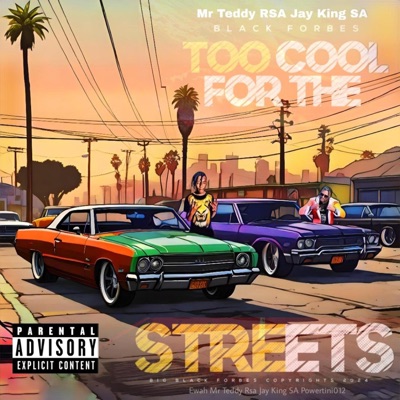Too Cool For the Streets (feat. Jay King SA) - Single