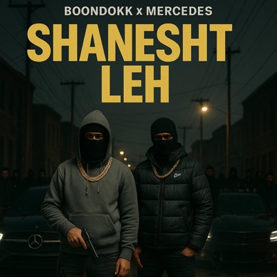 SHANESHT LEH - شنشت ليه (feat. Mercedes) - Single