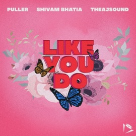 Like You Do Puller, Shivam Bhatia & theajsound