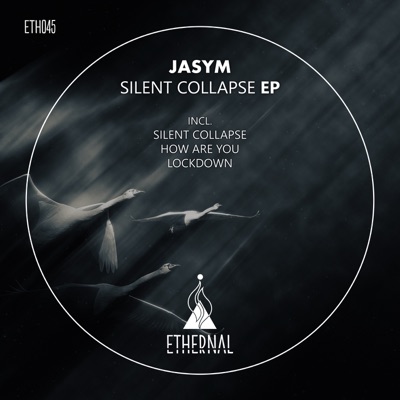 Silent Collapse - Single