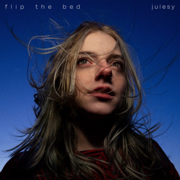 Flip The Bed album cover