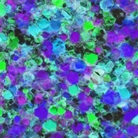 Chaos - Single - Solunex