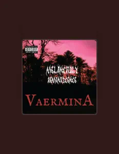 聆聽 VAERMINA、觀看音樂影片、閱讀小傳、查看巡演日期等！