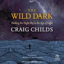 The Wild Dark : Finding the Night Sky in the Age of Light