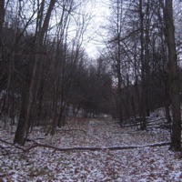 $elf-Intøxicated - Single - Cynical