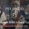 Chanukah Medley - Pey Dalid lyrics