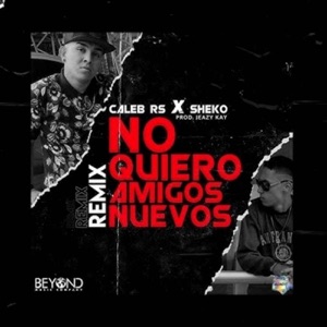 No Quiero Amigos Nuevos (Remix)