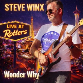 WONDER WHY (Radio Edit) Steve Winx