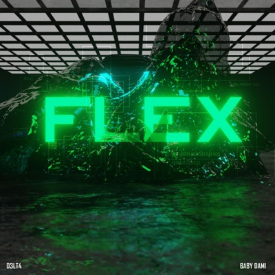 FLEX (feat. Baby Dami) - Single