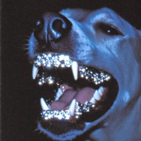 S1CK - Single - KAIBA