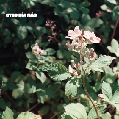 Otro Día Más (feat. Nicolas Pimentel) - Single