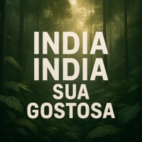 India India Sua Gostosa - Single - Mc Juninho FSF & DJ Lelê do Pistinha