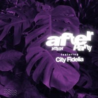 AFTERPARTY (REMIX) - Single - Nthn
