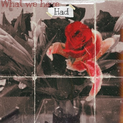 What we had - Single