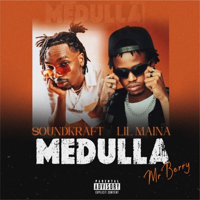 Medulla (feat. Mr Berry) cover art