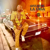 Gozarme La Vida (feat. Osado) - Single - Yrak Saenz