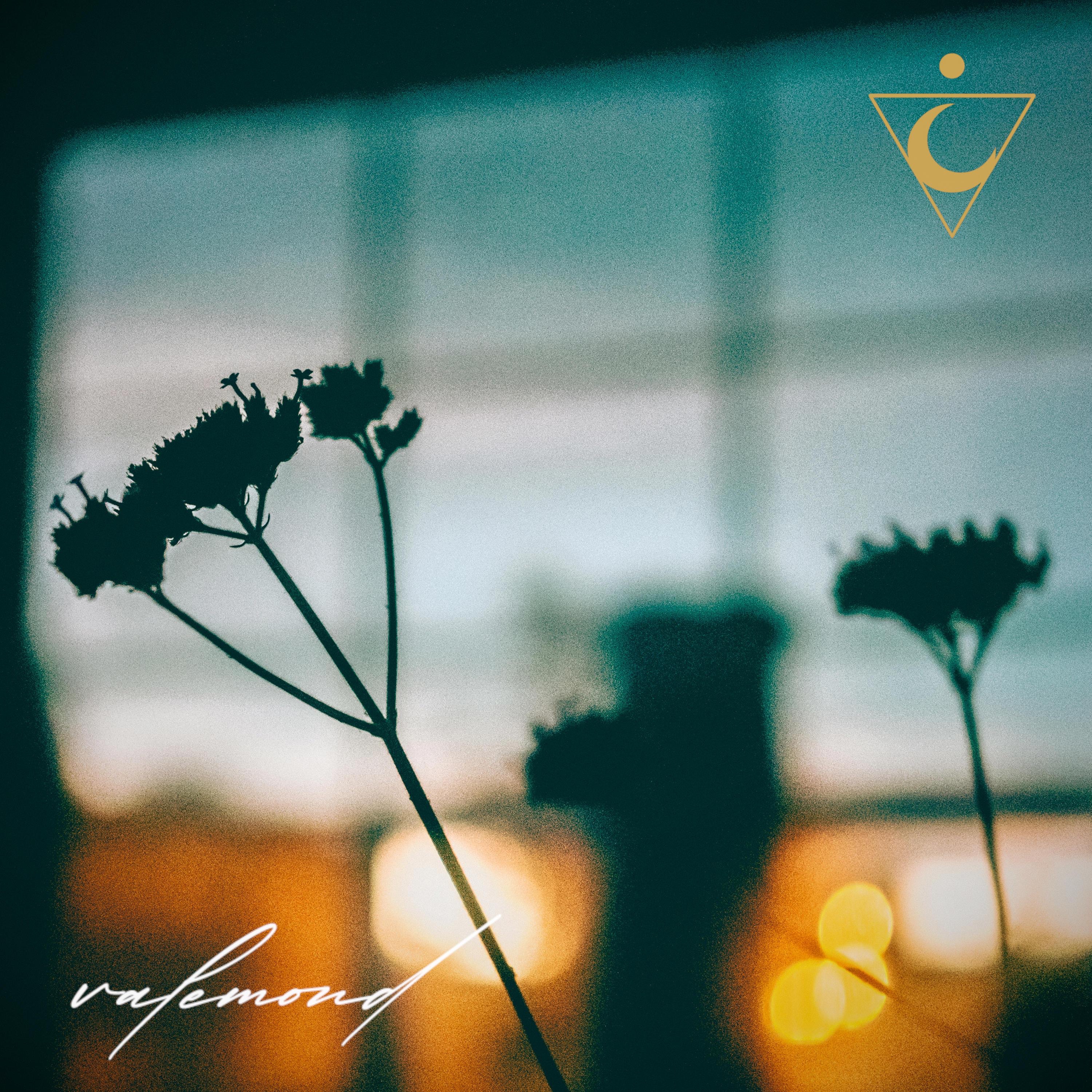 amber - Single