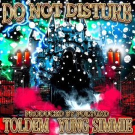 Do Not Disturb (feat. polyGOD & Yung Simmie) [polychopped] TOLDEM