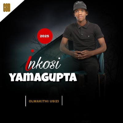 Olwakithi Usizi - Single