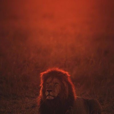 Produced By Leo Brenin (Demo Package)