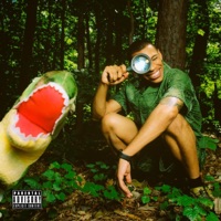 Rip Steve - Single - Mvnd